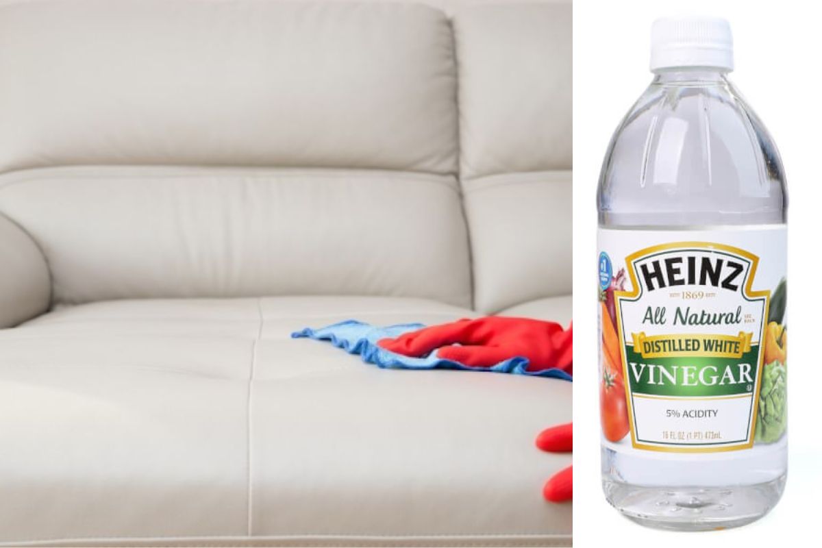 Cách vệ sinh sofa da thật từ giấm, rượu trắng đơn giản nhanh chóng